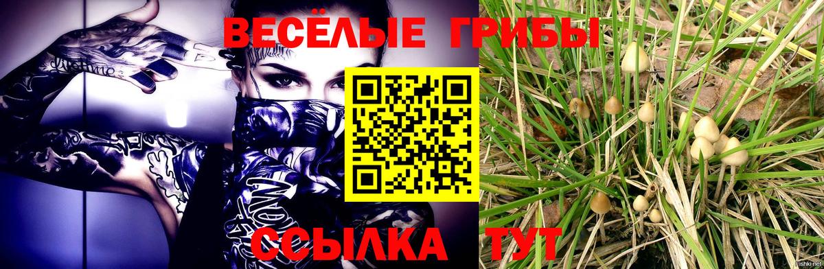 Галлюциногенные грибы мухоморы  Вход с VPN  Псилоцибиновые грибы мухоморы  Рязань 