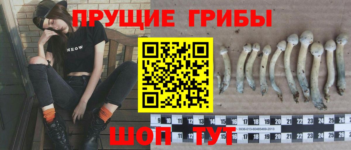 Галлюциногенные грибы MAGIC MUSHROOMS Рязань